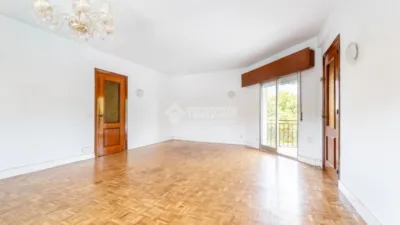 Apartment in Colonia photo 4