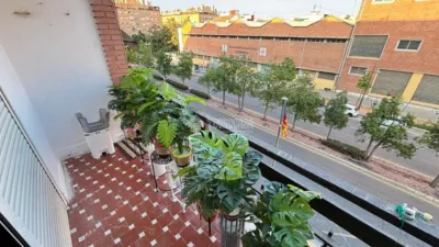 Apartment in L'Illa Perduda photo 7