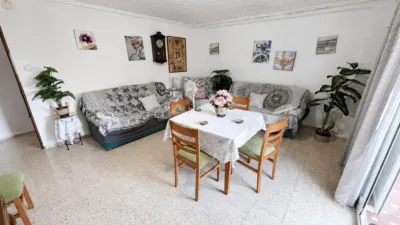 Apartment in L'Illa Perduda photo 5