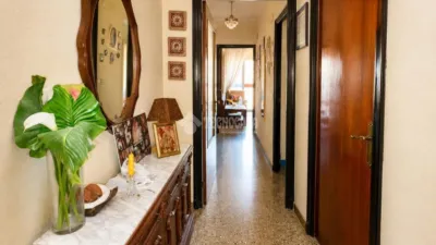Apartment in Campanar photo 26
