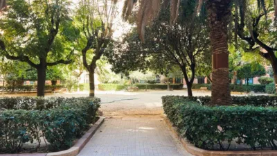 Apartment in Arrancapins photo 24