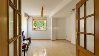 Apartment in El Molar photo 5