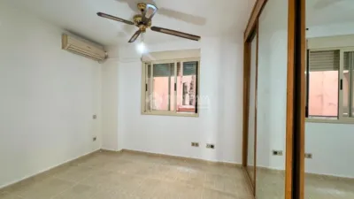 Apartment in El Molar photo 3