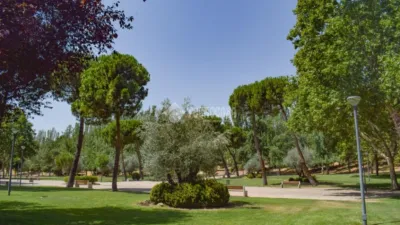 Flat on Reina Mercedes Street photo 16