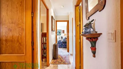 Flat on Calle de Aristóteles photo 15