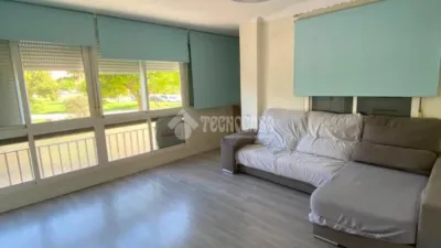 Apartment in Pineda-Pedro Salvador photo 7