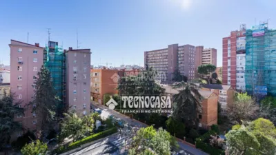 Apartment in Quintana photo 15