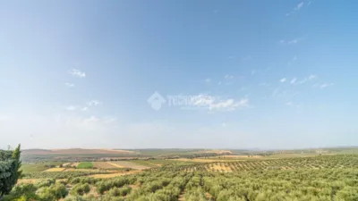Terraced house in Torreblascopedro photo 28