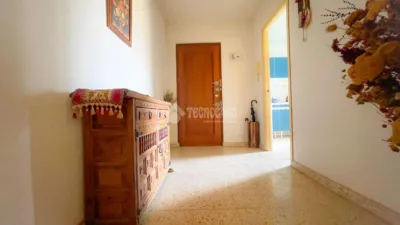 Apartment in Guadarrama photo 3