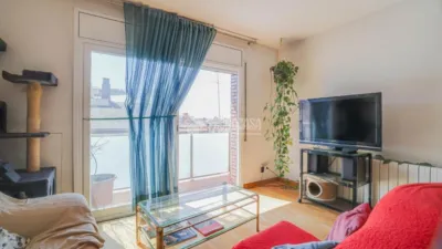 Apartment in Sant Feliu de Llobregat photo 6
