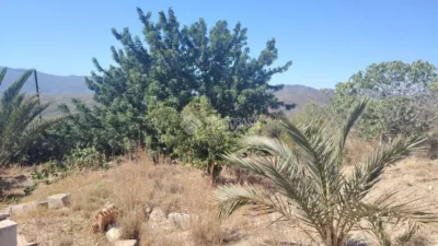 Rustic house in Los Gallardos photo 8