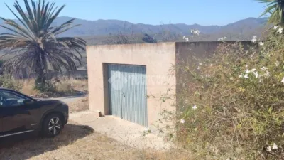 Rustic house in Los Gallardos photo 4