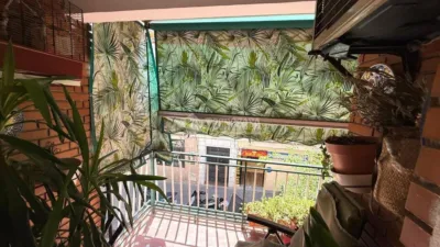 Apartment in Bellas Vistas photo 5