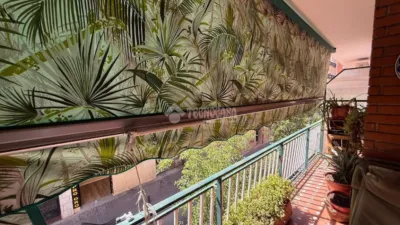 Apartment in Bellas Vistas photo 7