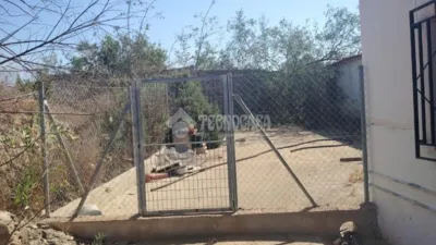 Rustic house in Los Gallardos photo 15