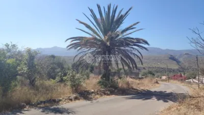 Rustic house in Los Gallardos photo 10