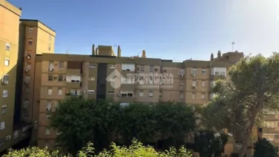 Apartment in Pino Montano photo 12