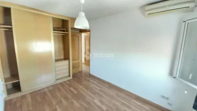 Apartment in Oeste photo 18