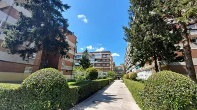Apartment in Zarzaquemada photo 9