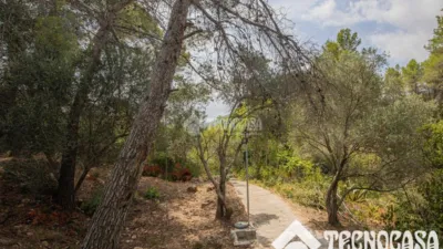 Single-family home in Corbera de Baix photo 29