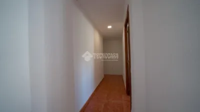 Apartment in Nou Moles photo 6