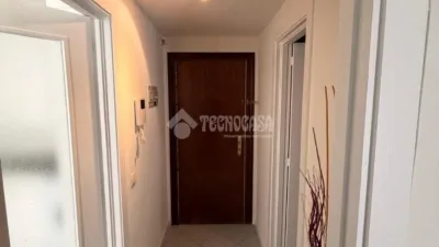 Flat in Vista Alegre photo 14