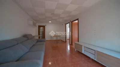 Apartment in Nou Moles photo 13