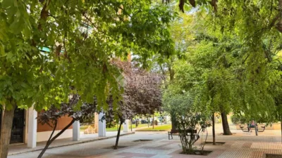 Apartment in Arcos photo 20