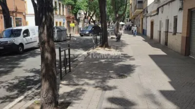 Apartment in El Cerro photo 21