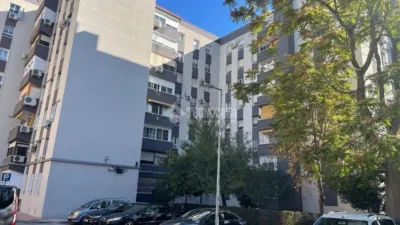 Apartment in Sur-Este photo 2