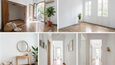 Apartment in El Poble-sec photo 4