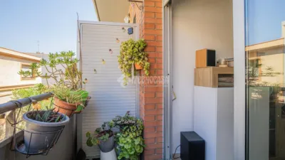 Apartment in Riera photo 10