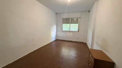 Apartment in Carlos Ruiz photo 13