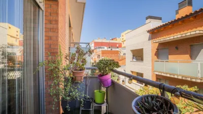 Apartment in Riera photo 11
