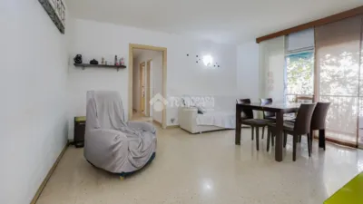 Apartment in Sant Cosme-La Granja photo 12