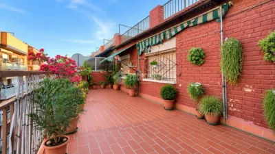 Apartment in La Gavarra photo 2