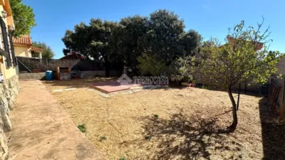 Single-family home in Loranca de Tajuña photo 12