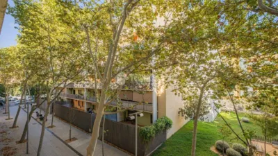 Apartment in Sant Cosme-La Granja photo 6