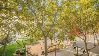 Apartment in Sant Cosme-La Granja photo 18