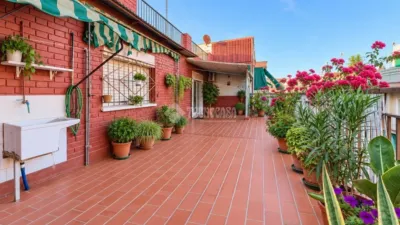 Apartment in La Gavarra photo 3