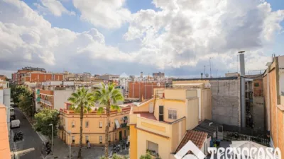 Apartment in Riu Nord-Riu Sud photo 32
