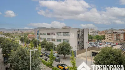 Flat in Riu Nord-Riu Sud photo 41