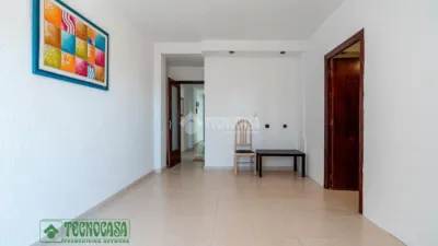 Apartment in Barrio Sur photo 8
