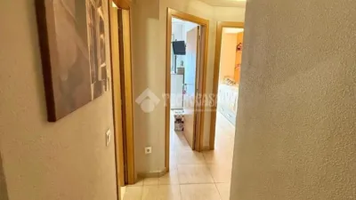 Apartment in Centro photo 5