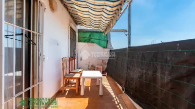 Apartment in Barrio Sur photo 19