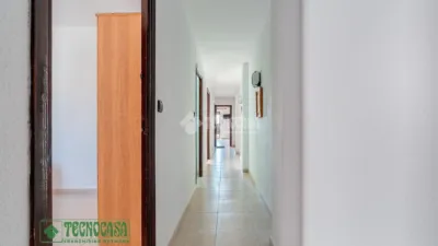 Apartment in Barrio Sur photo 4