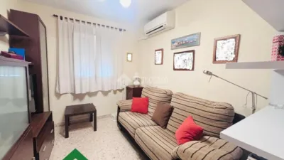 Apartment in San José-Varela-La Laguna photo 8