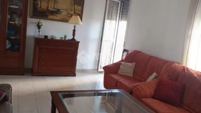 Apartment in La Palmera-Reina Mercedes photo 23