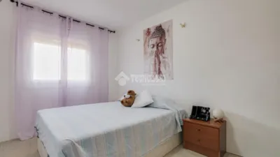 Apartment in Can Bassa-Palou photo 15