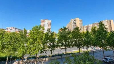 Apartment in Pilar photo 25